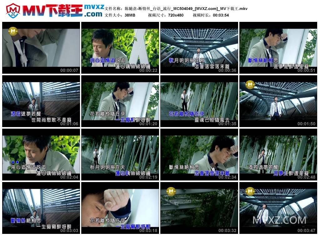 陈随意-断情丝_台语_流行_MC504049
